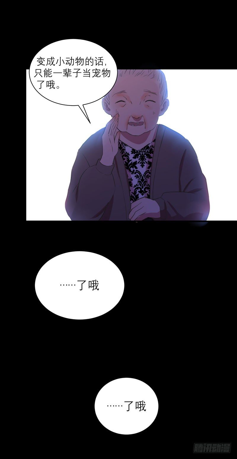 预告21