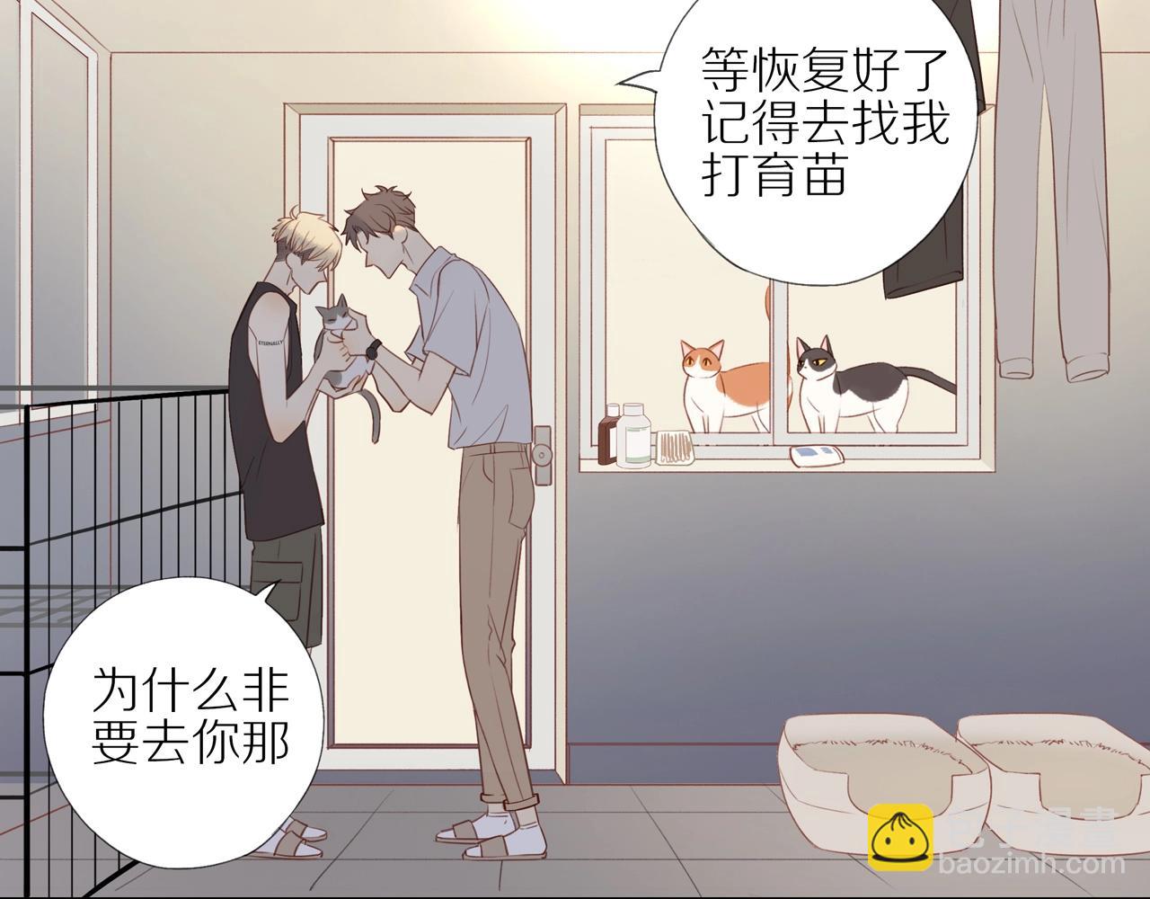 第6话  猫咪纹身49