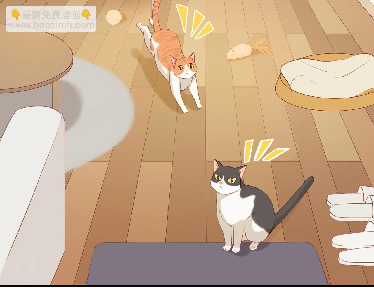 第6话  猫咪纹身9