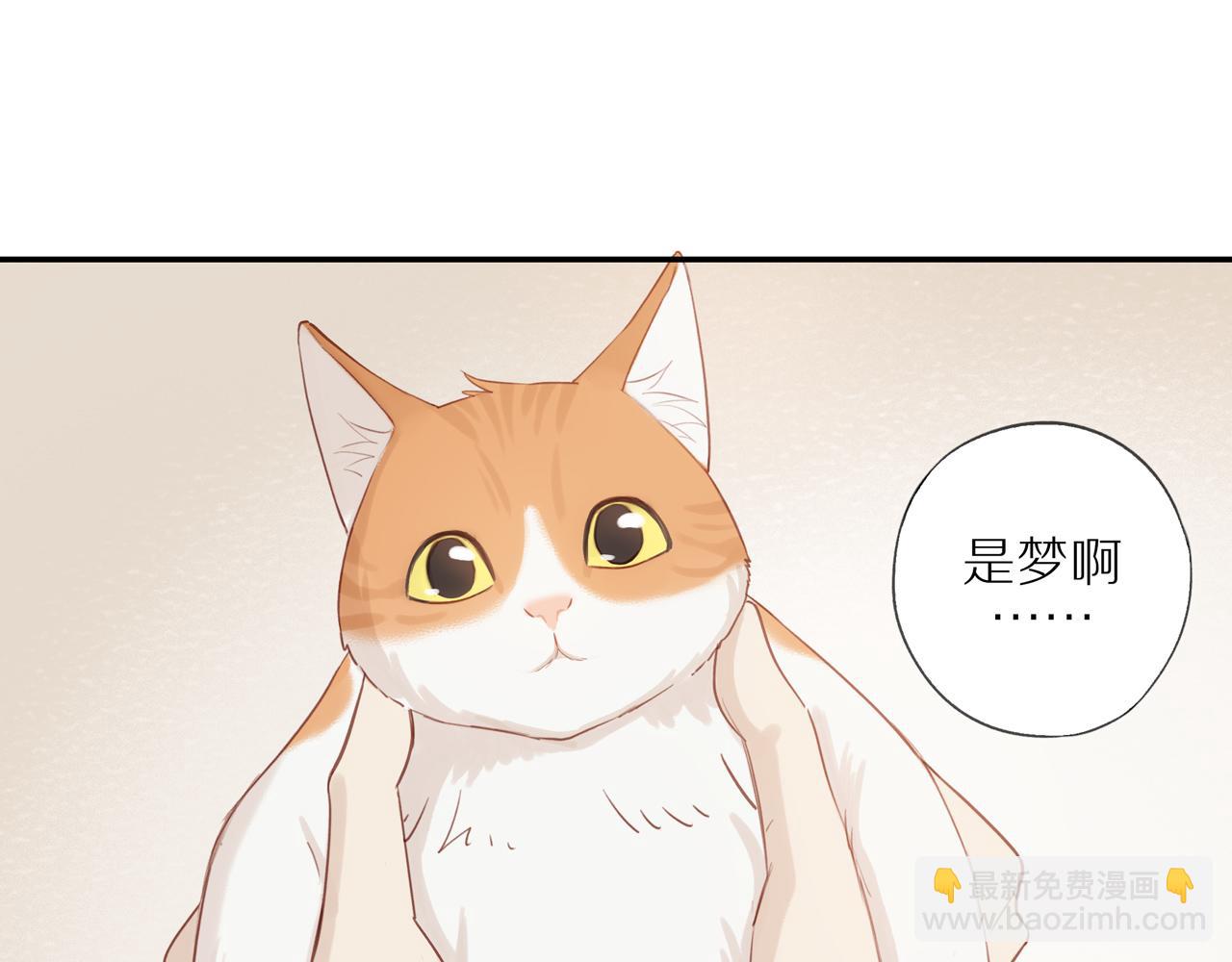 第8话  “狗粮”3