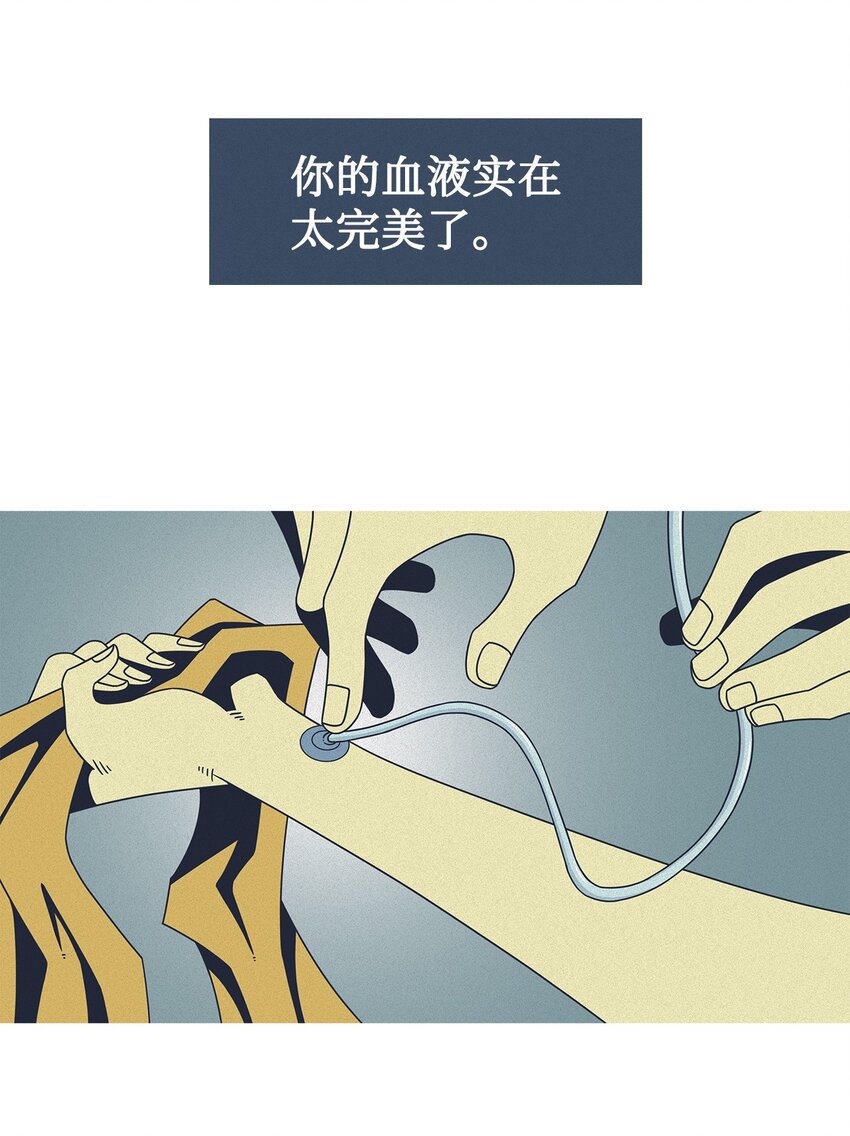 36 救援计划{5}40