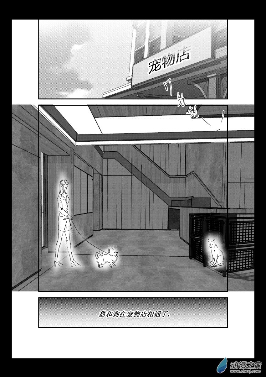 第36话 猫和狗和人（一）1