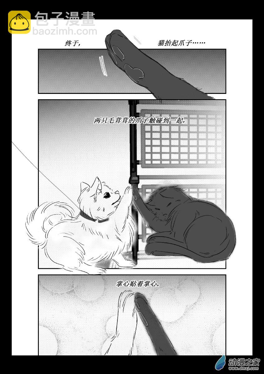 第36话 猫和狗和人（一）4