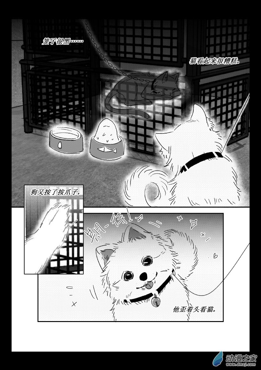第36话 猫和狗和人（一）6