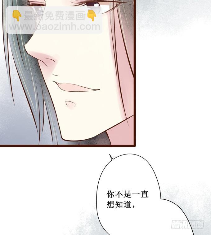 红颜（十七）伏法76