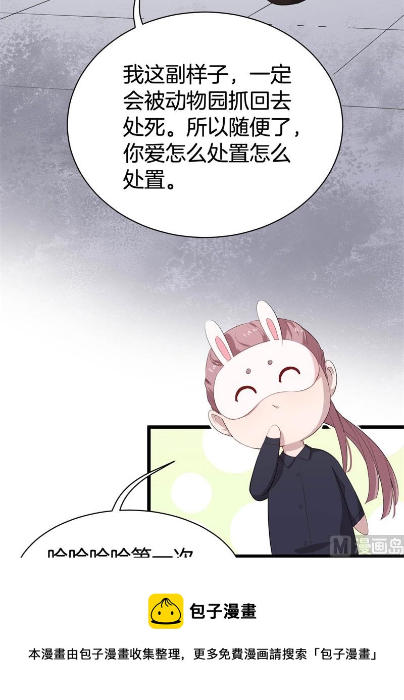 042黑眼圈不是坏妖怪（十）40