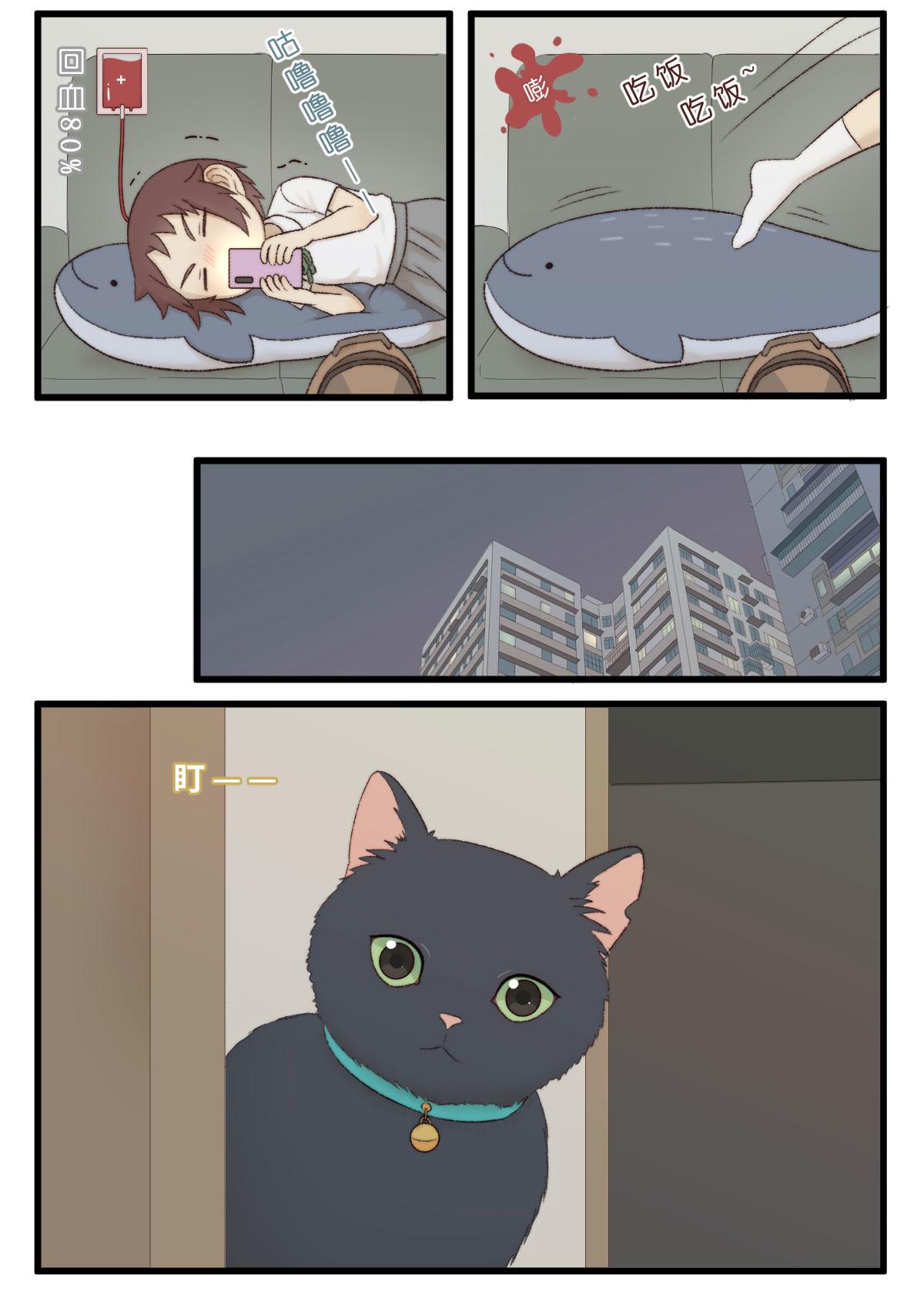 10.发张猫照看一看|・ω・U)2