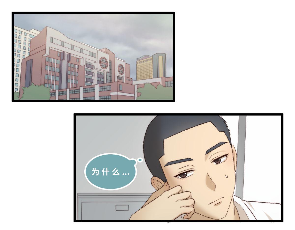 20.猫陶瓷0