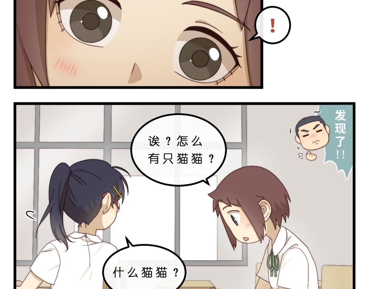 20.猫陶瓷6
