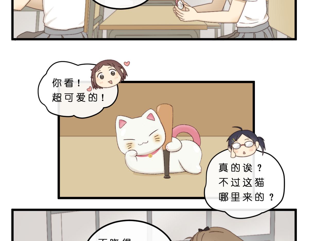 20.猫陶瓷7