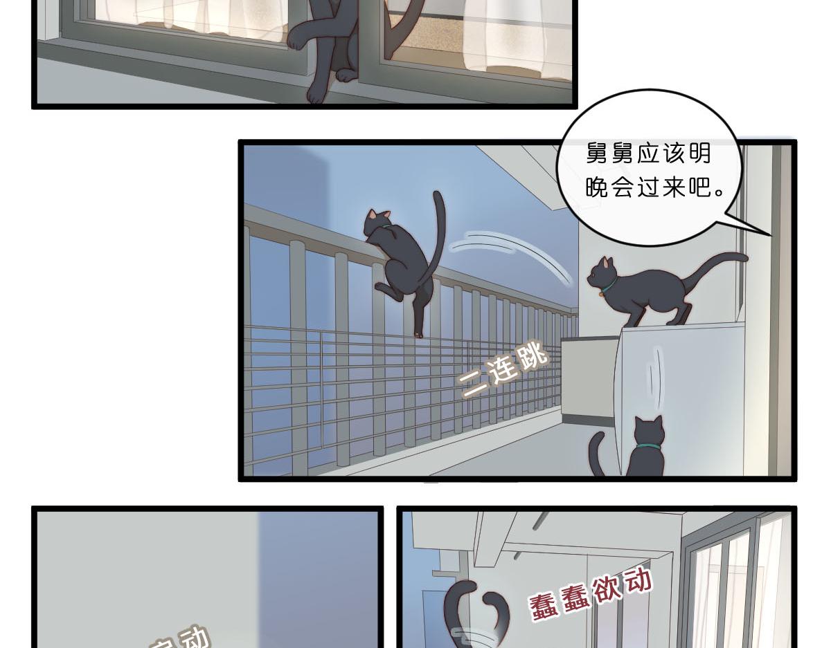 29.掉，掉喵啦！（^⊙▃⊙^)10