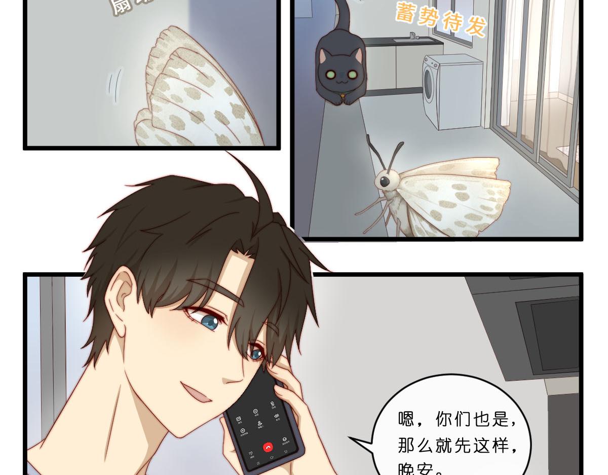 29.掉，掉喵啦！（^⊙▃⊙^)11