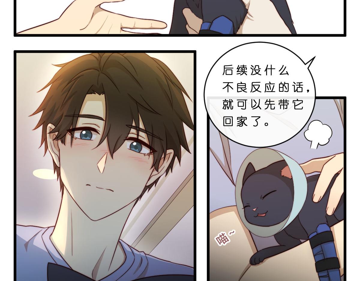 30.各伤一爪6