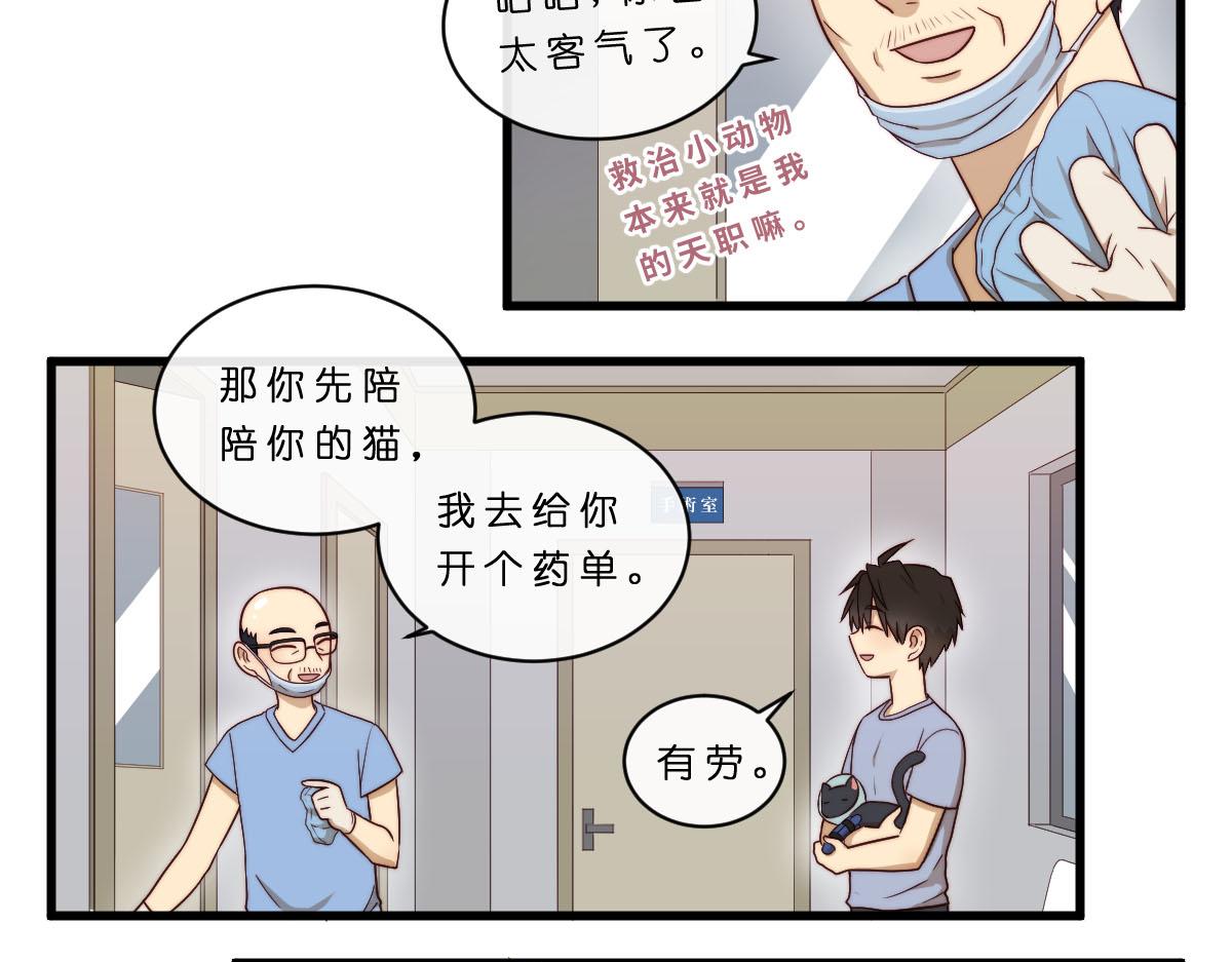 30.各伤一爪8