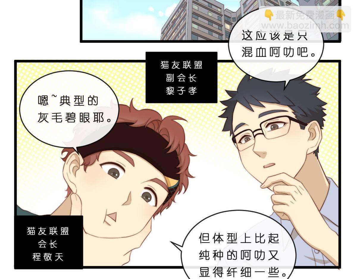 34.表哥家与猫2