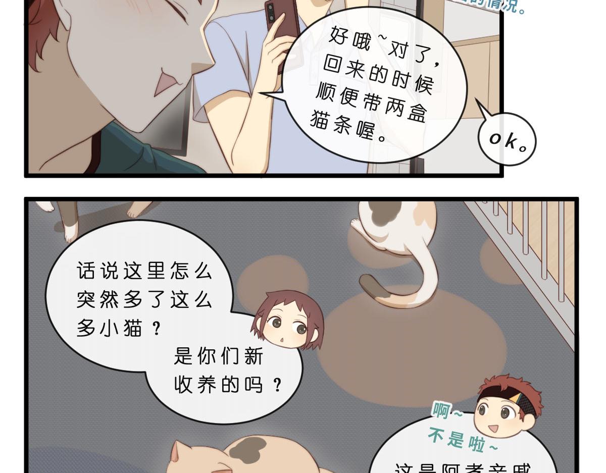 34.表哥家与猫5