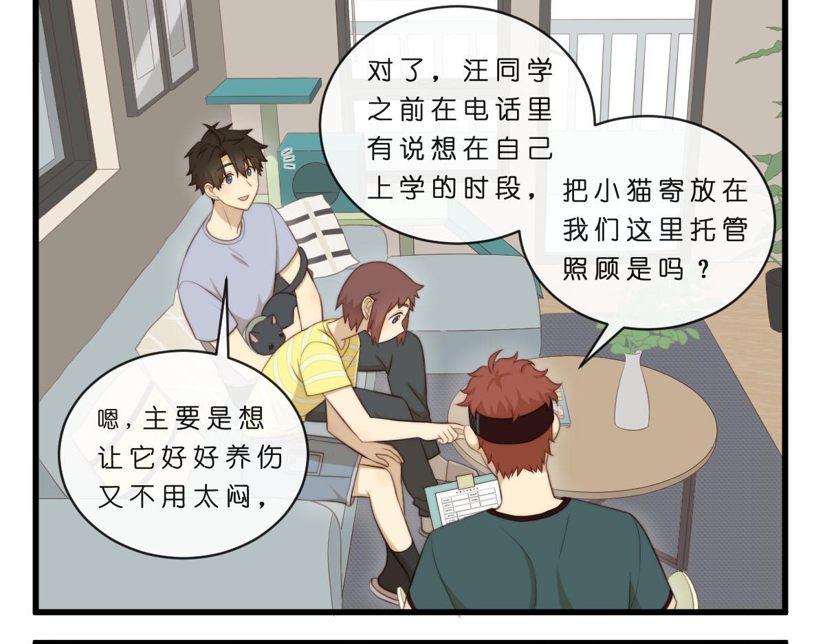 34.表哥家与猫8