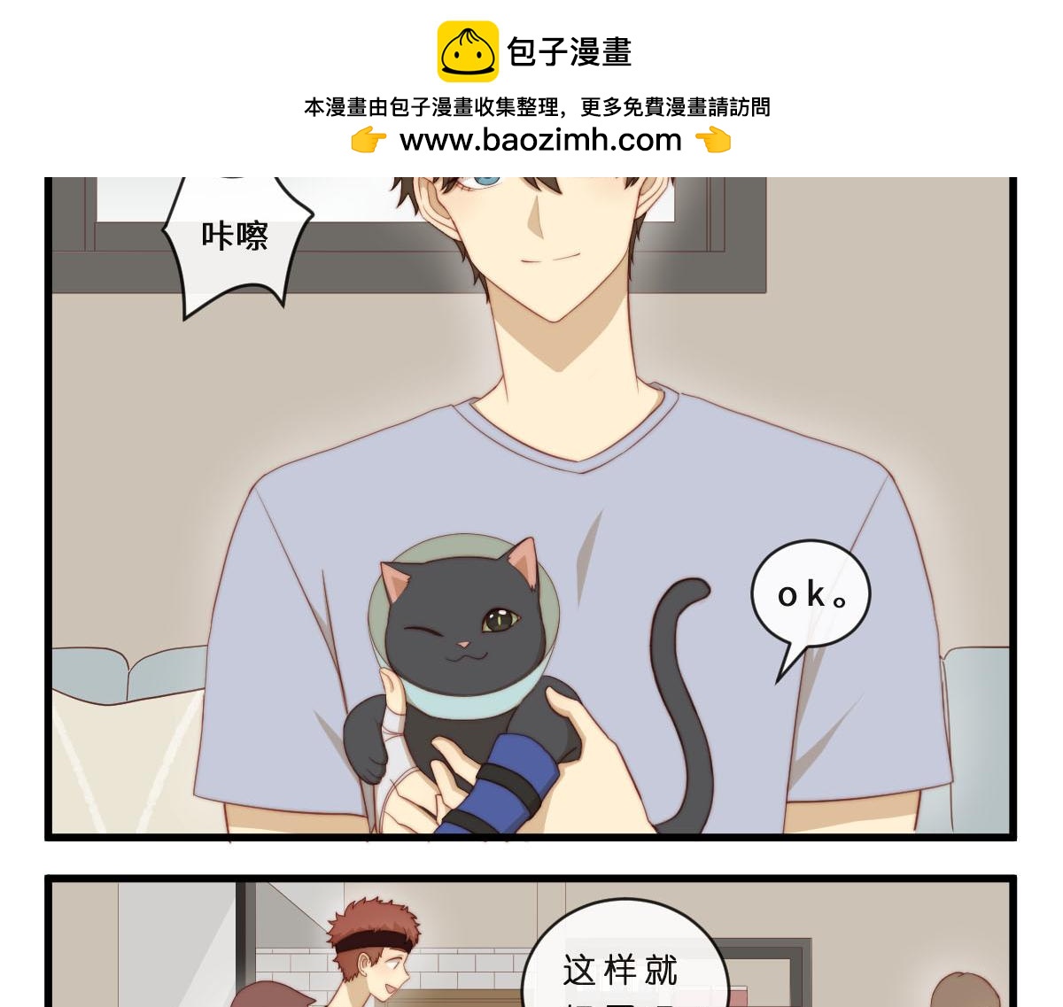 35.猫明星1