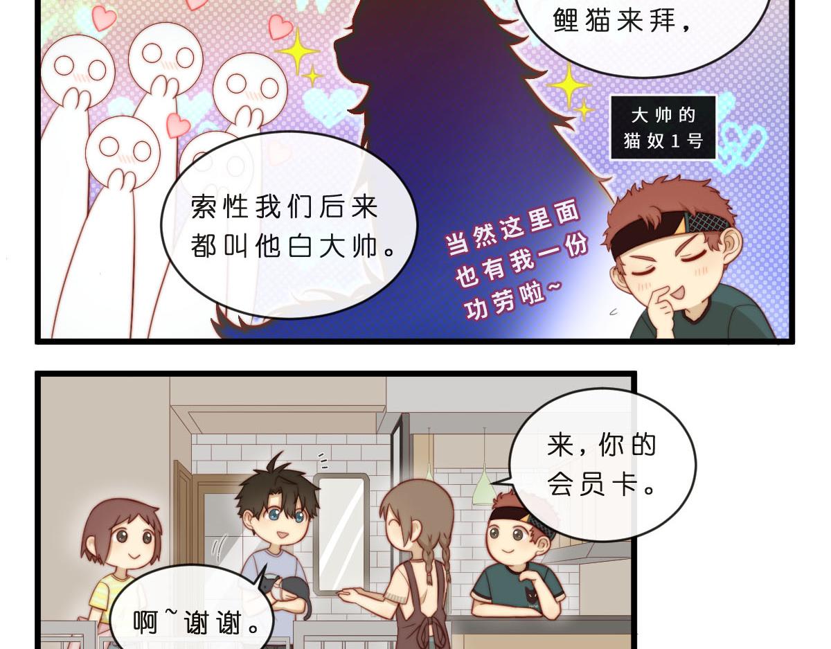 35.猫明星12