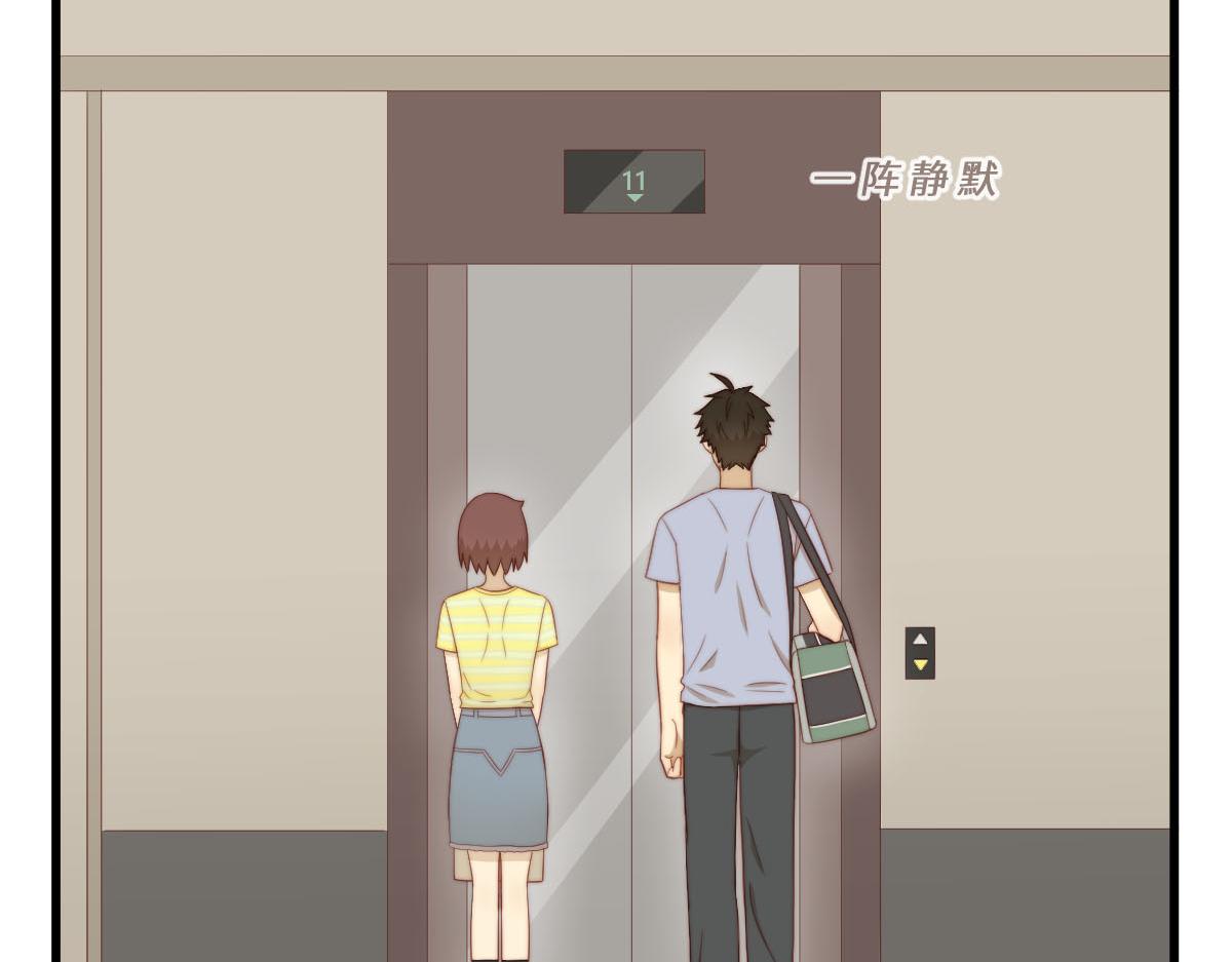 35.猫明星15