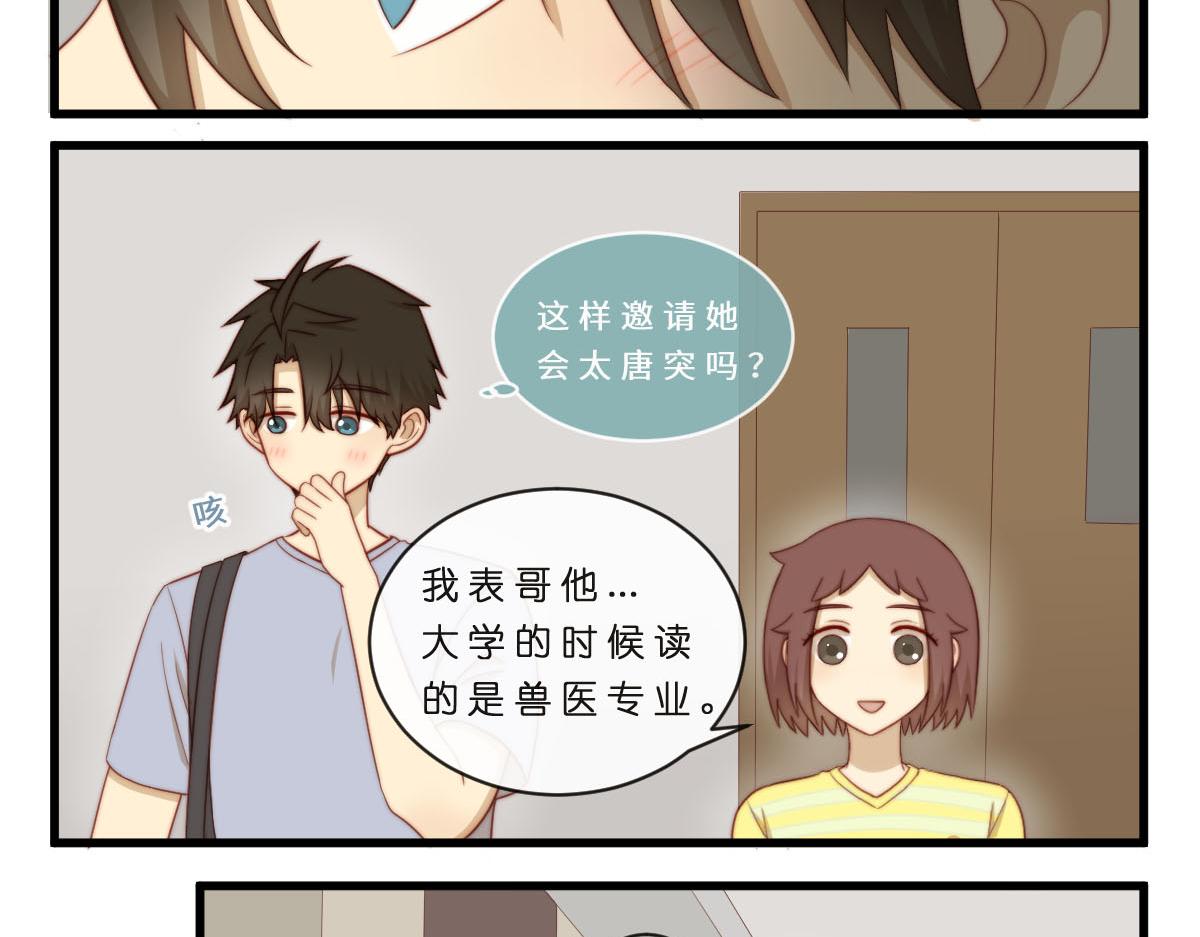 35.猫明星17