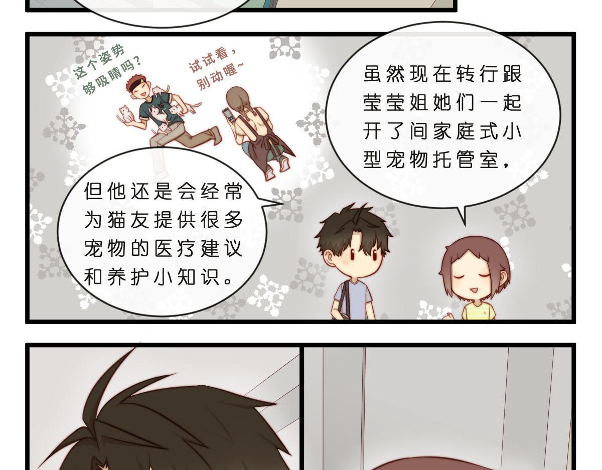 35.猫明星19