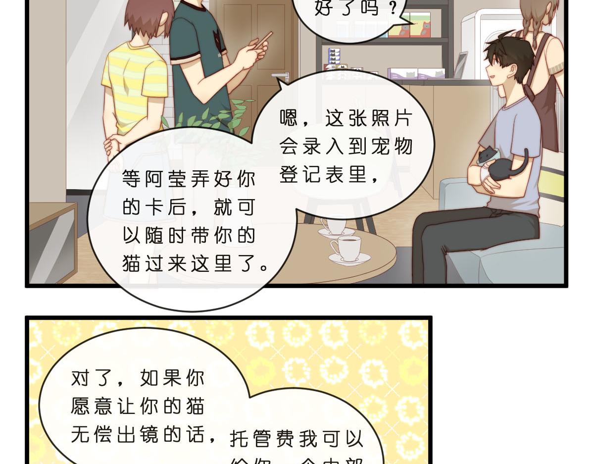 35.猫明星2