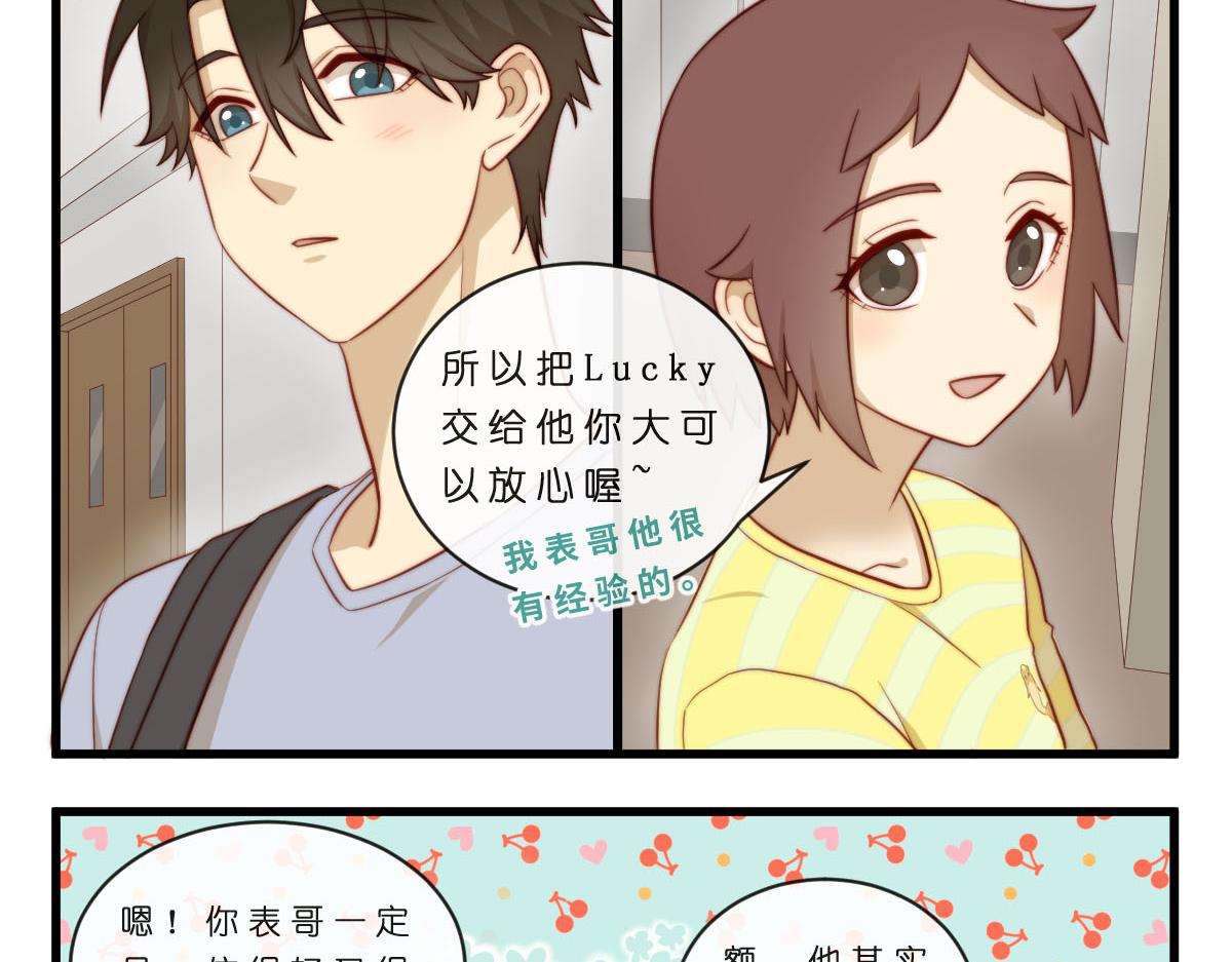 35.猫明星20