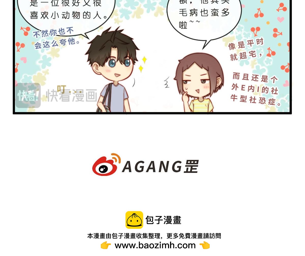 35.猫明星21