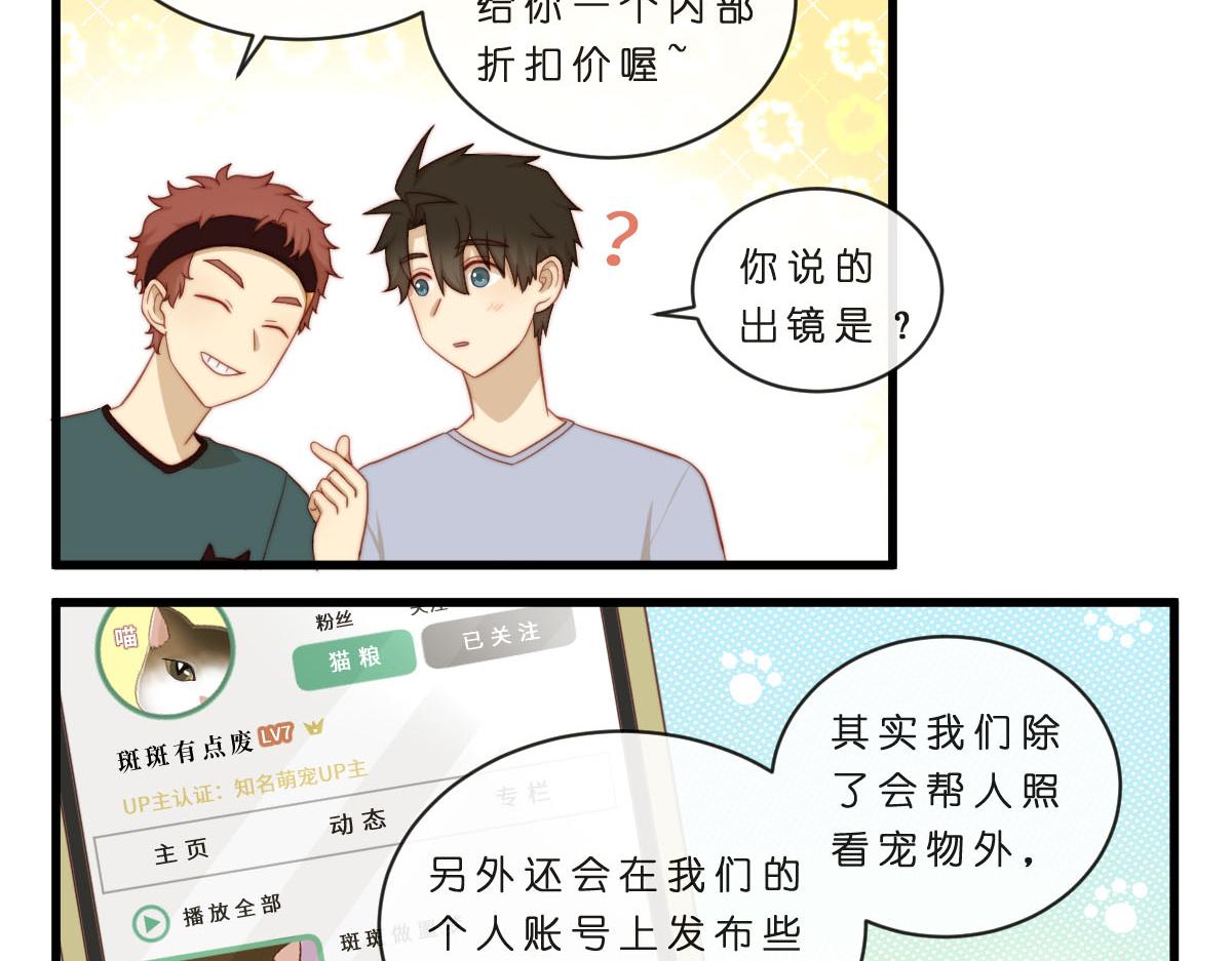 35.猫明星3