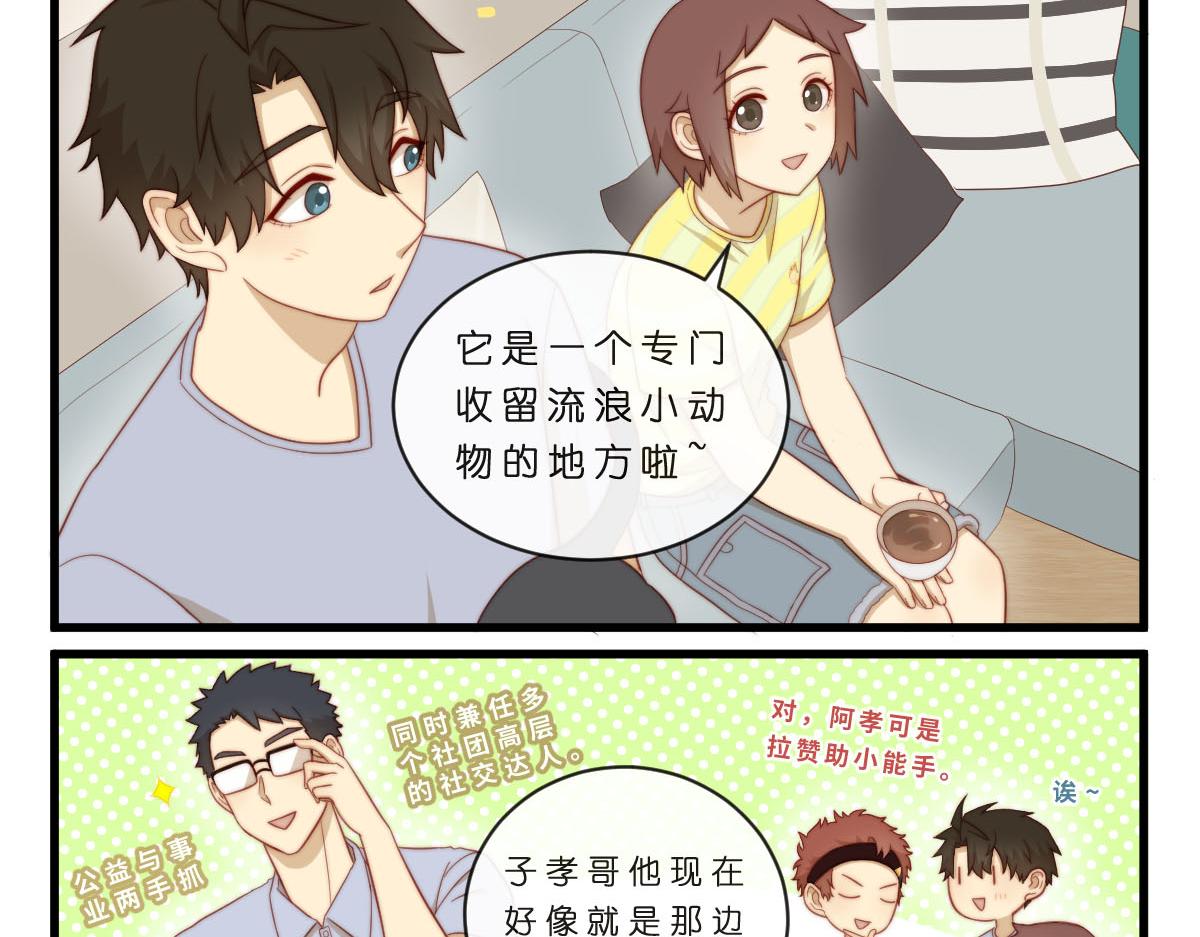 35.猫明星6