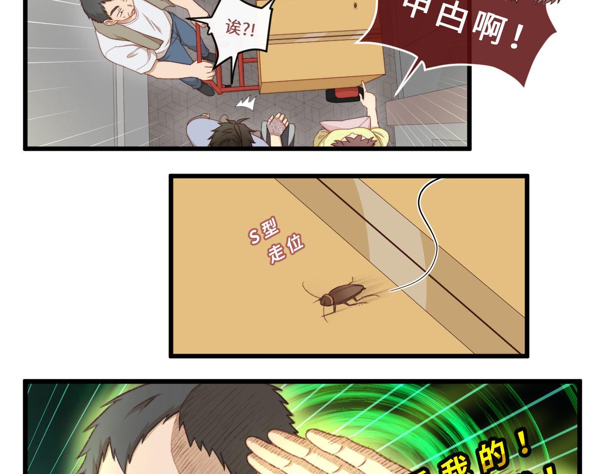36.软柿子？14