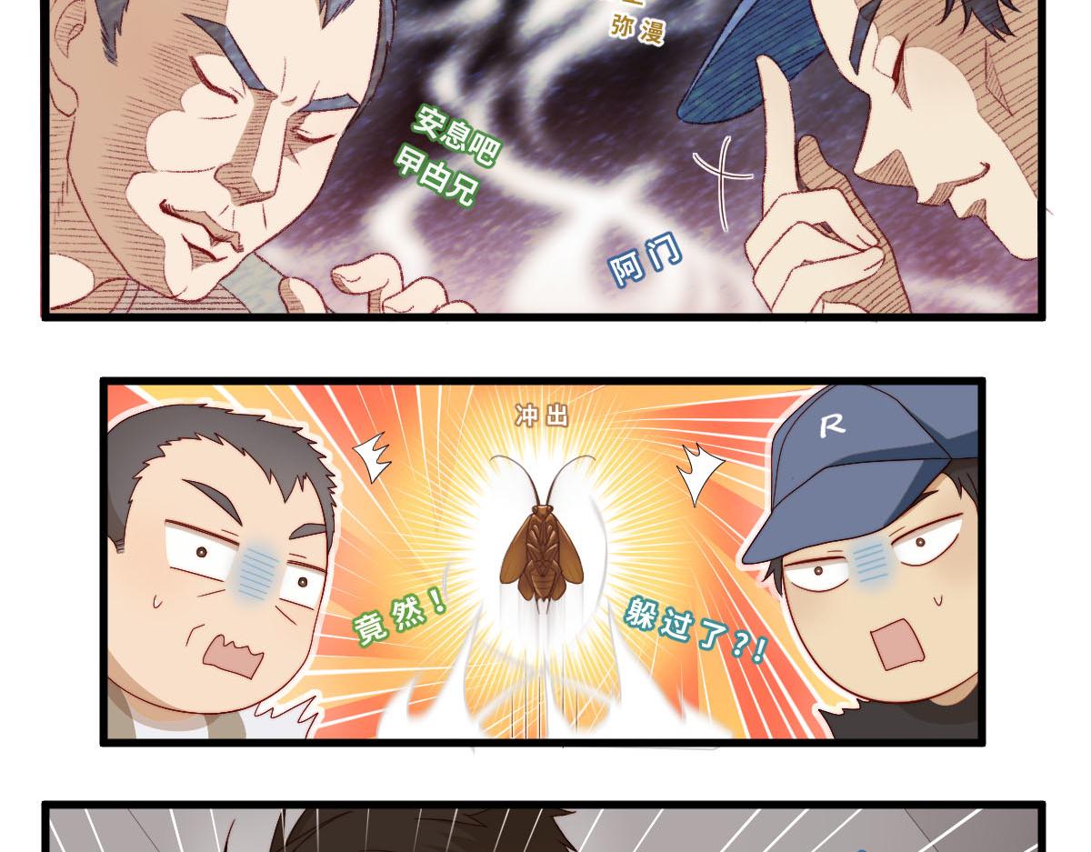 36.软柿子？17