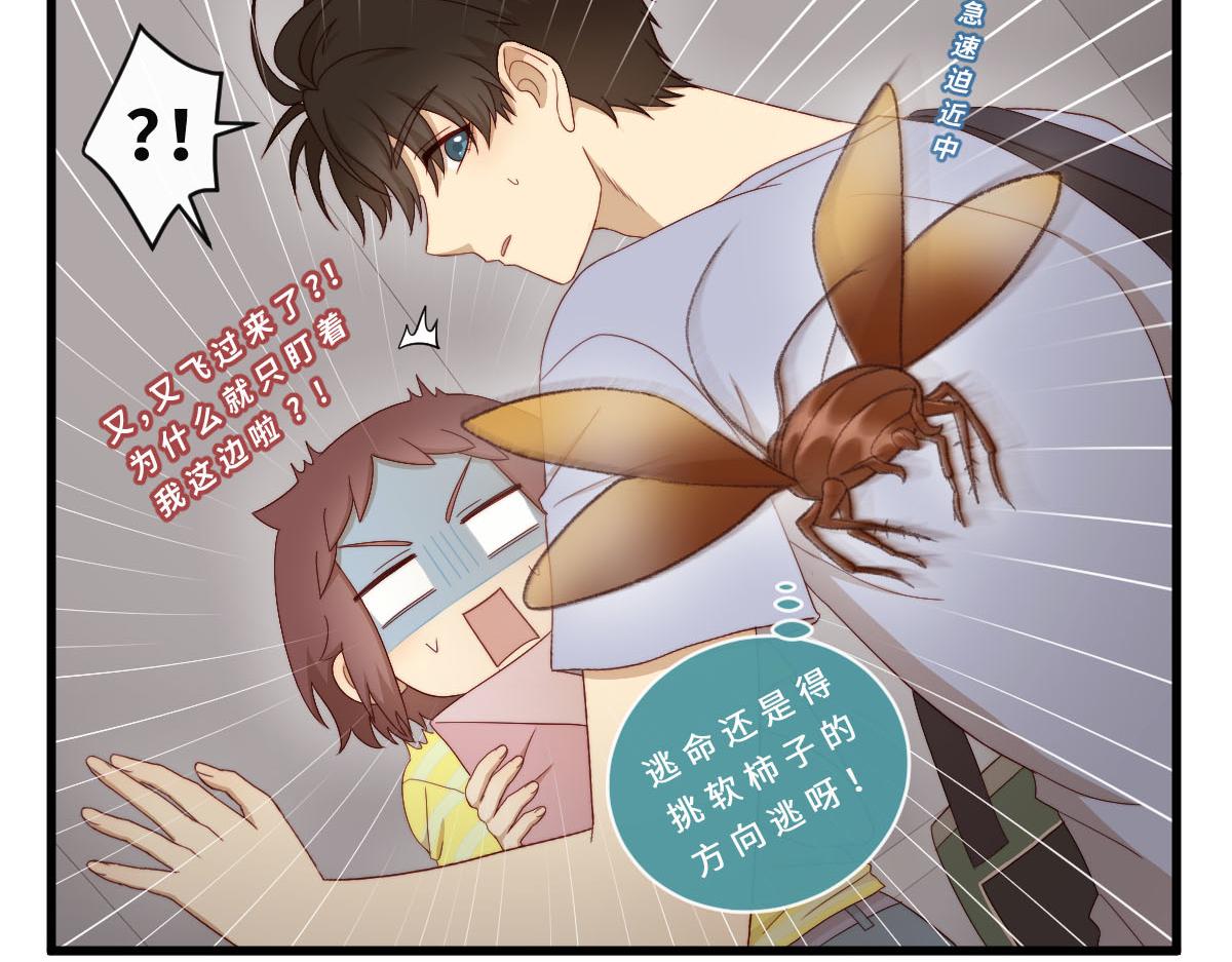 36.软柿子？18