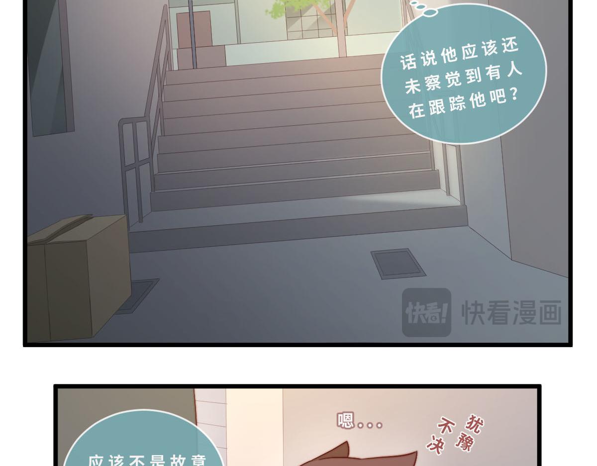 40.猫猫鼠鼠10