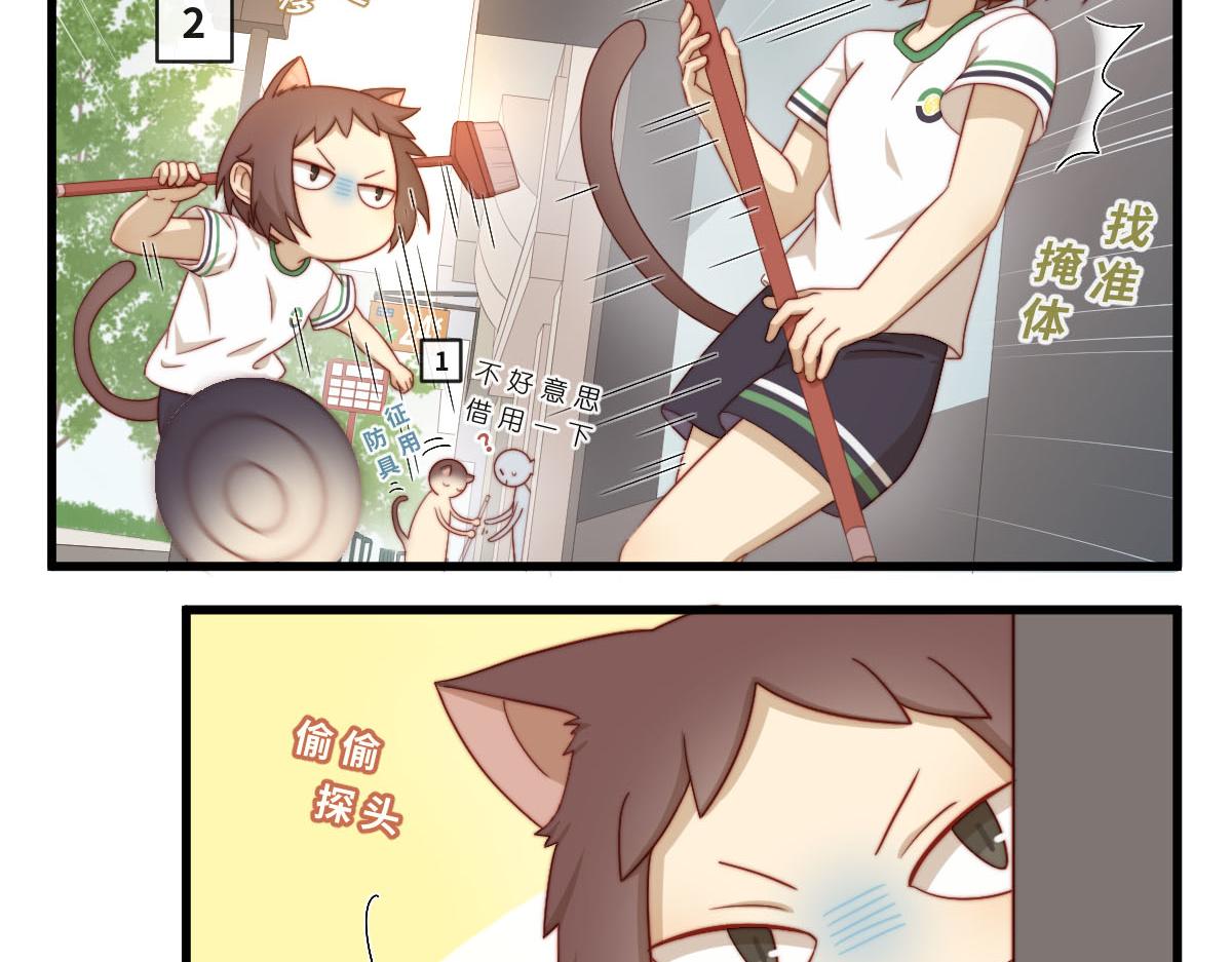 40.猫猫鼠鼠3