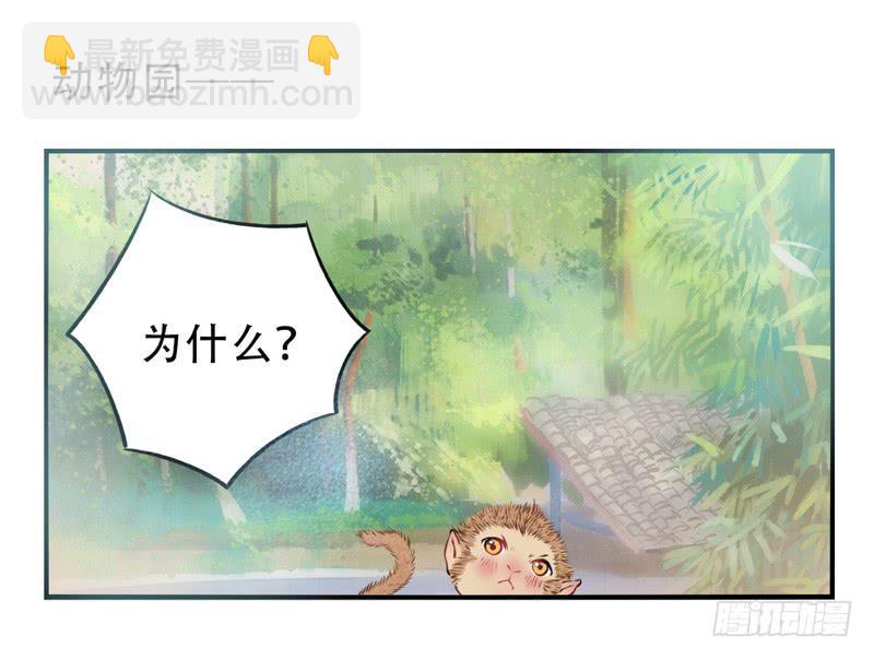 第9话：愿望成真 中7