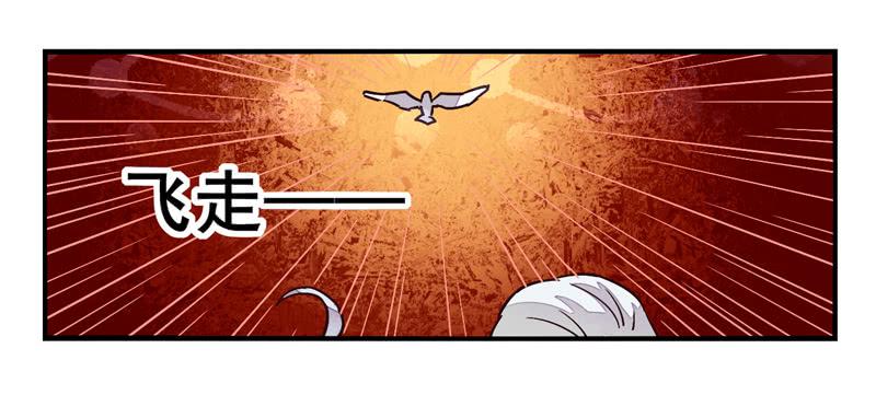 第36话：信鸽面具0215