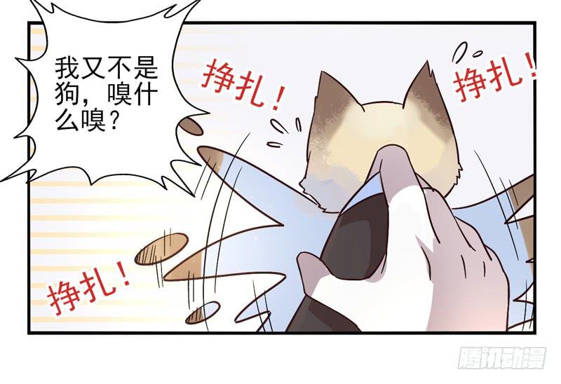 第47话：愿望面具（番外）12