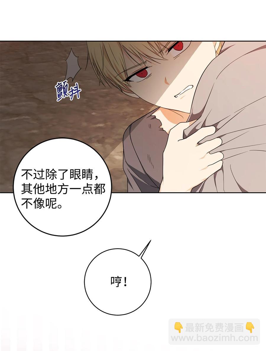 32 晚霞41