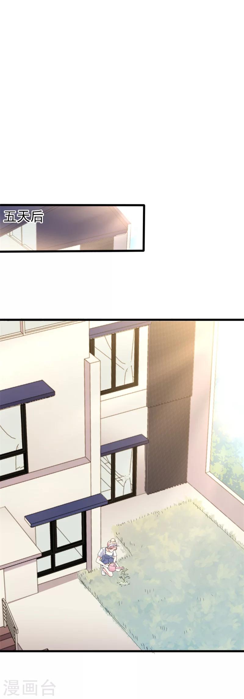 第41话 陆先生想我了？6