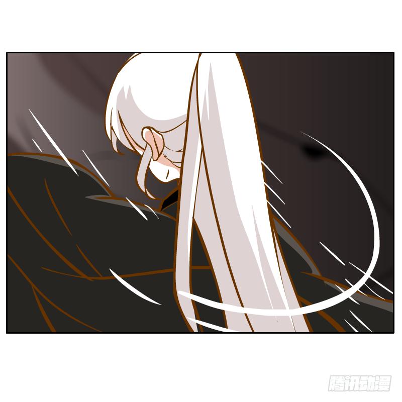 白容再现11