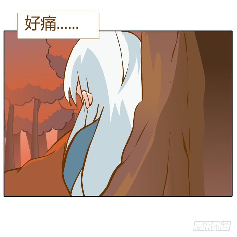 白容再现37