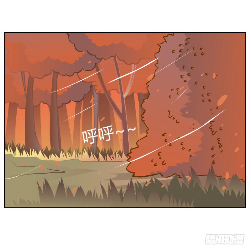 白容再现41