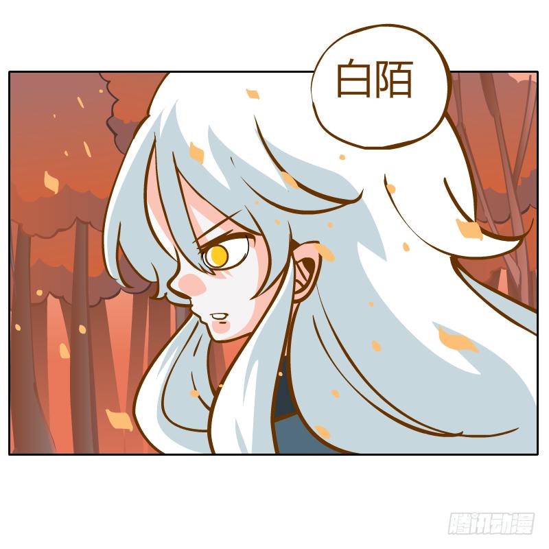 白容再现55