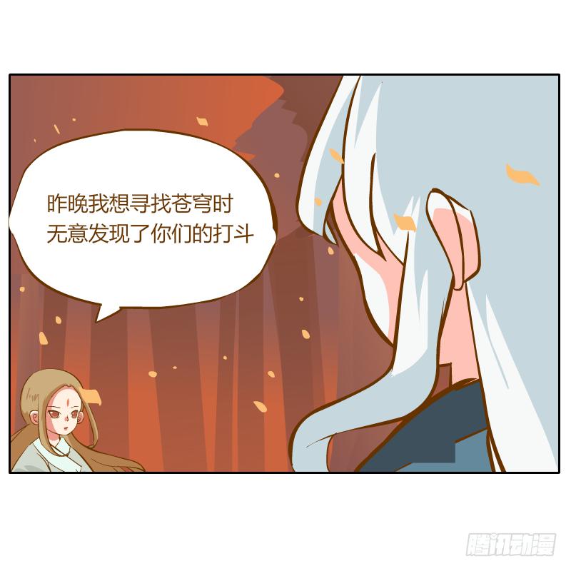 白容再现61