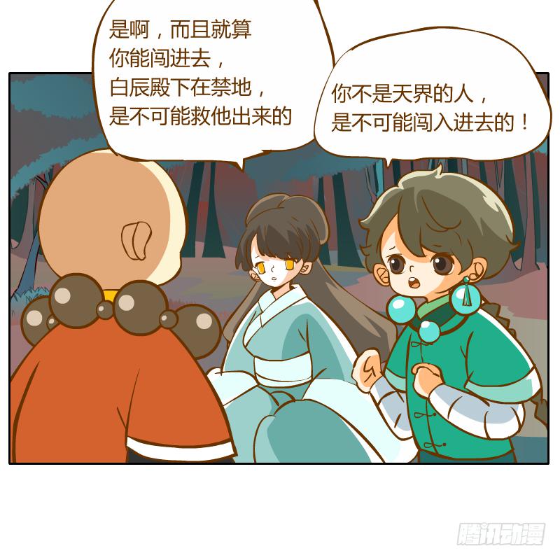过去的渊源29