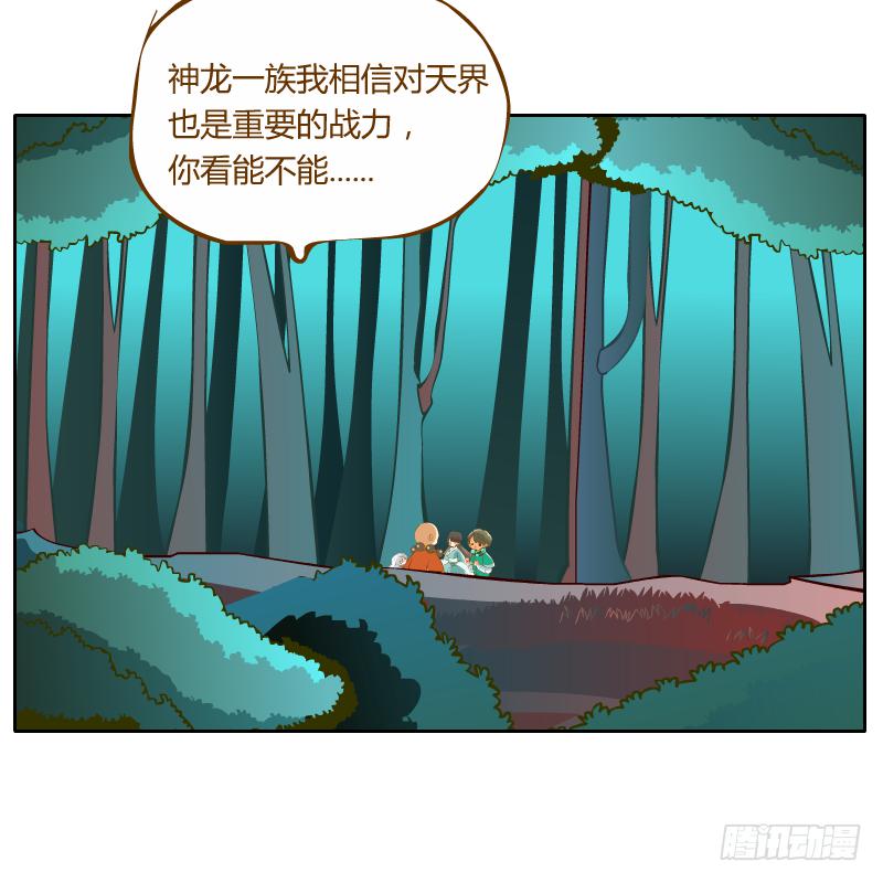 过去的渊源31