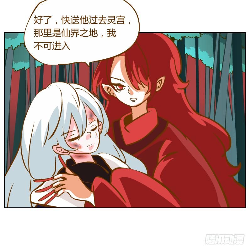 过去的渊源41