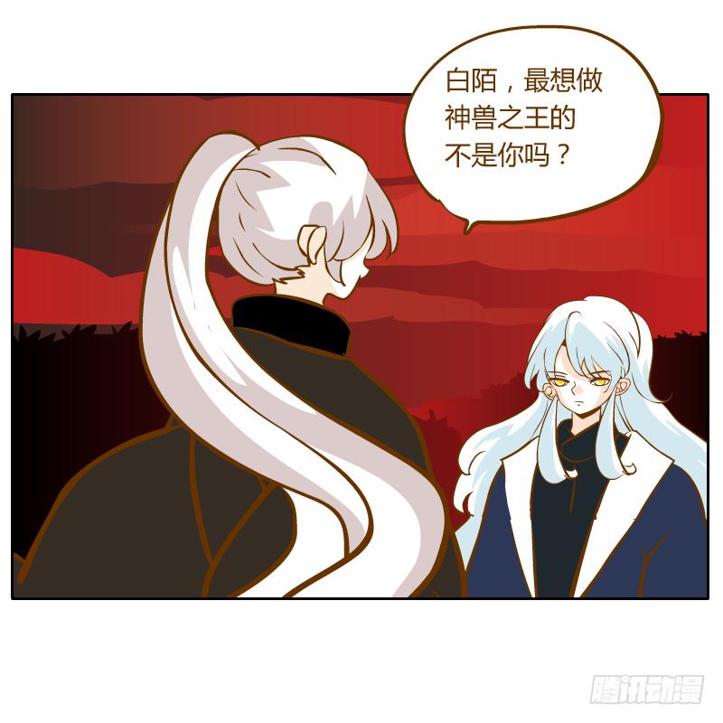 龙族大会开启1